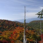 Recommended Hiking Spots for Autumn in Nara Prefecture